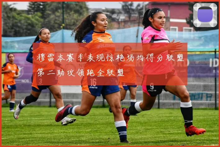 穆雷本赛季表现惊艳场均得分联盟第二助攻领跑全联盟