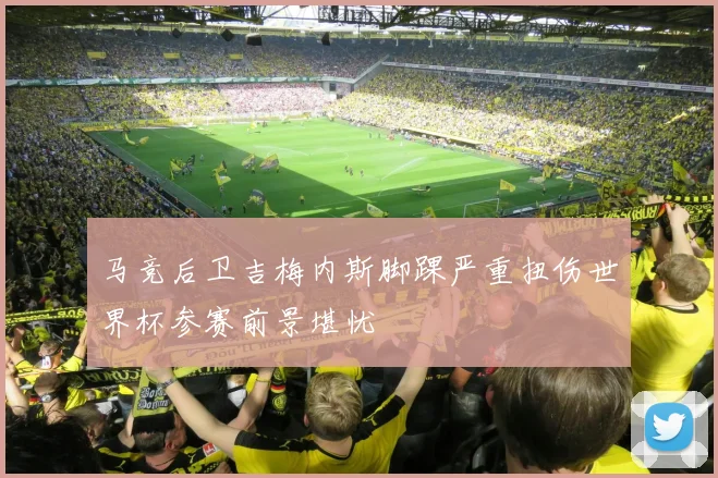 马竞后卫吉梅内斯脚踝严重扭伤世界杯参赛前景堪忧